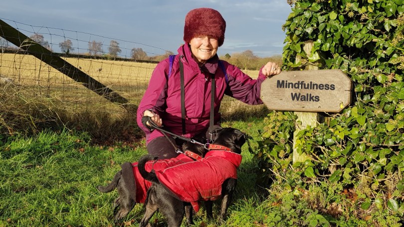 Mindfulness Walks at the Wind Energy Museum | Norfolk | Stating January 21st 2018